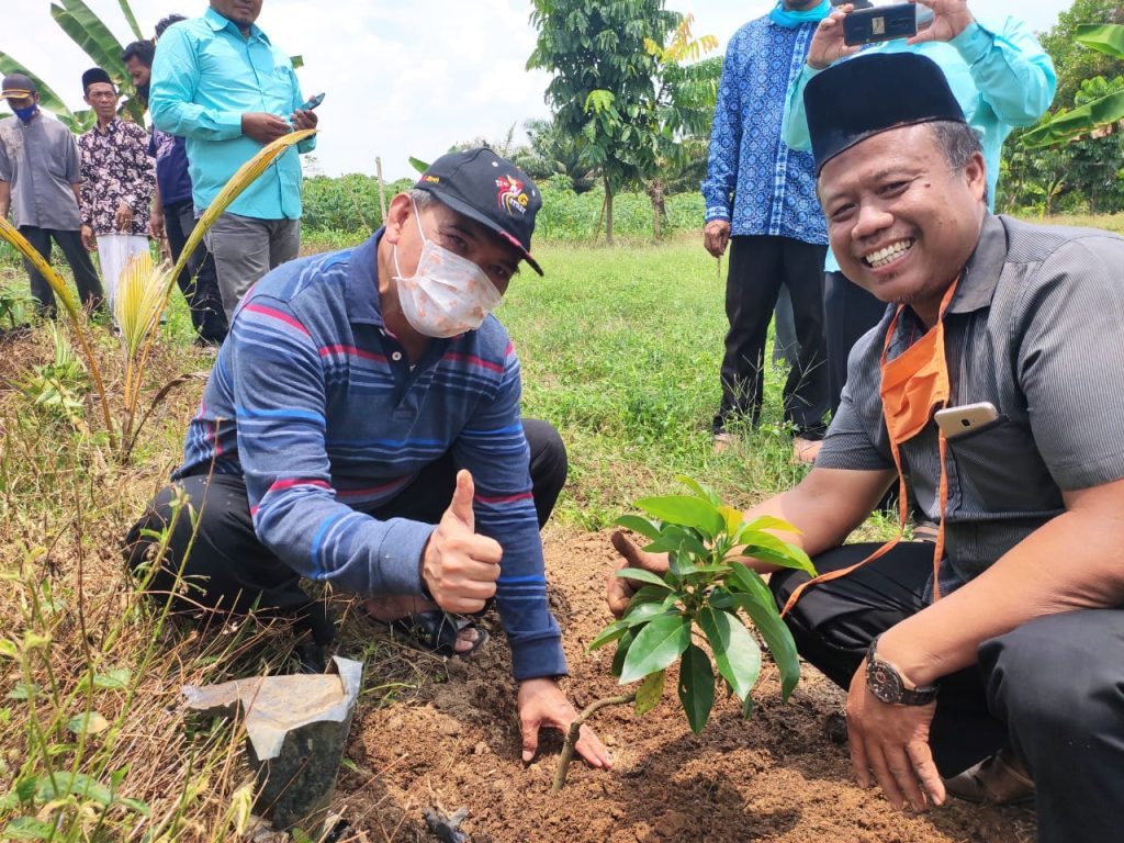 Program Lampung Tengah Hijau